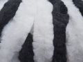 20180522_143200.jpg